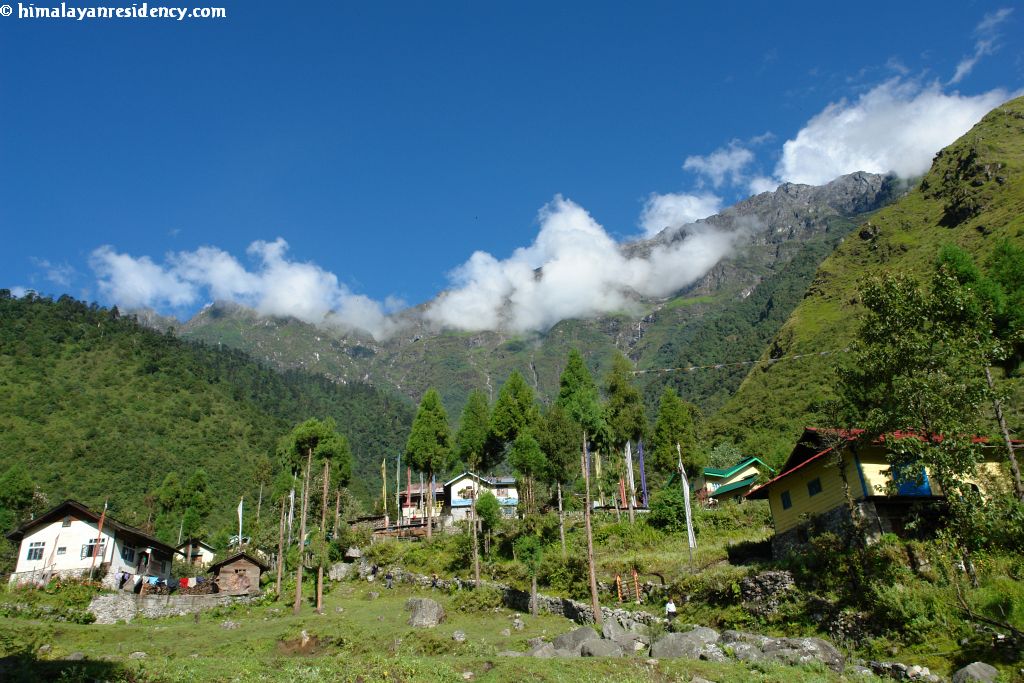 Photo Gallery - Hotel Himalayan Residency